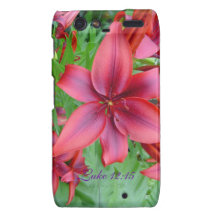 Lily - Iridescent Red (Luke 12:15) Motorola Droid RAZR Cases