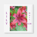 Lily - Iridescent Red (Luke 12:15) Fridge Magnet