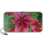Lily - Iridescent Red (Luke 12:15) Portable Speaker