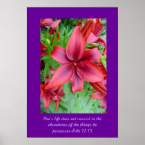 Lily - Iridescent Red posters
