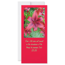 Lily - Iridescent Red Rack Cards