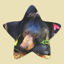 Lily is a Star! stickers