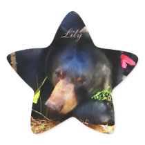 Lily is a Star! Star Sticker