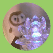 Lily Light stickers