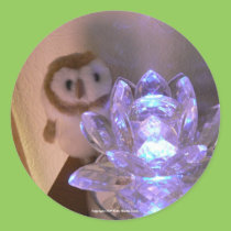 Lily Light stickers