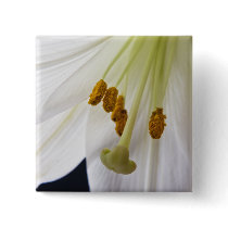 Lily Macro button pin
