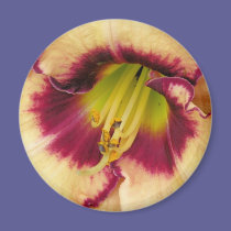 Lily magnets
