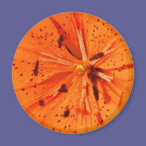 Lily magnets