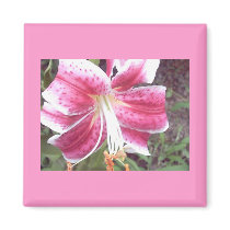 Lily Magnet by lillianhibiscus Lily Magnet