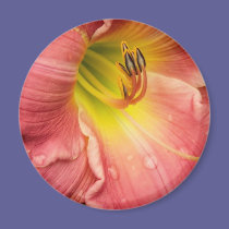 Lily magnets