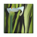 Lily Magnet