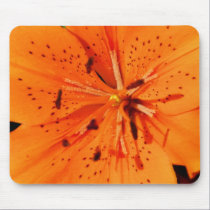 Lily mousepads