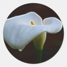 Lily of the Valley and meaning Sticker