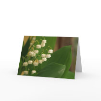 Lily of the Valley cards by bishaphoto Lily of the Valley cards