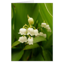 Lily Of The Valley Card
