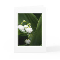 Lily of the Valley cards by SquashedToad Lily of the Valley cards