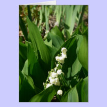 Lily of the Valley cards