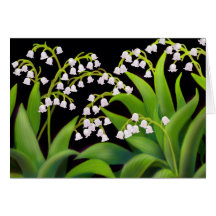 Lily of the Valley Card