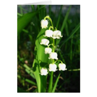 Lily Of The Valley Flowers Greeting Card
