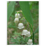 Lily-of-the-valley flyers