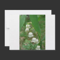 Lily-of-the-valley invitations