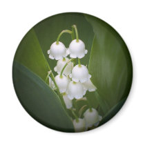 Lily-Of-The_Valley Fridge Magnet