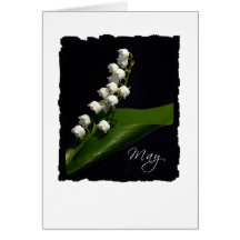 Lily of the Valley - May Greeting Card