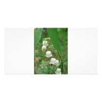 Lily-of-the-valley Photo Greeting Card