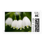 Lily of the Valley Postage Stamp