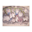 lily_of_the_valley postcards
