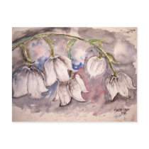 lily_of_the_valley postcards by dereklovessheila lily_of_the_valley postcards