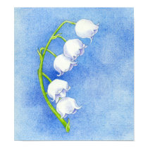 Lily of the Valley Poster posters