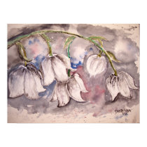 lily_of_the_valley posters
