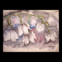 lily_of_the_valley posters