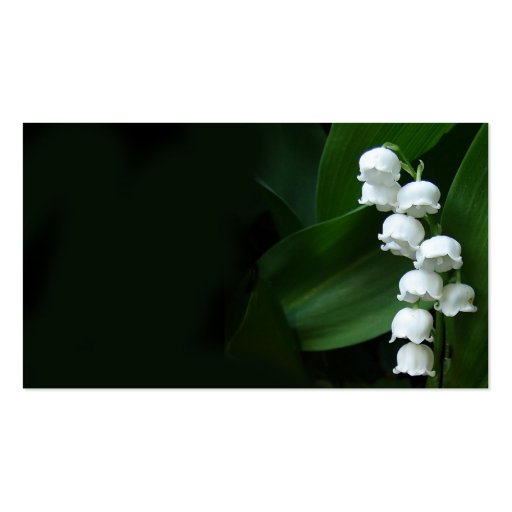 Lily of the Valley profile card Business Card Template
