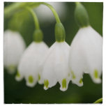 Lily of the Valley Set of Four Napkins