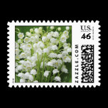 Lily of the Valley Stamp