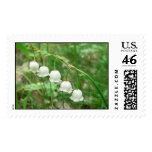 Lily of the Valley stamp