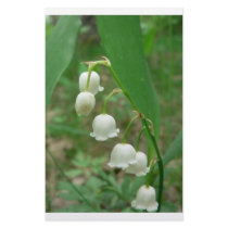 Lily-of-the-valley Customized Stationery