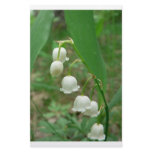 Lily-of-the-valley Customized Stationery