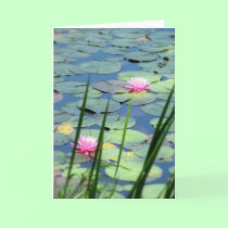 Lily Pad Card