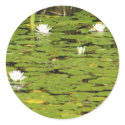 Lily pad stickers