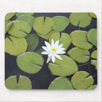 lily pad with mousepad