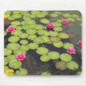 lily pad with pink flowers mousepads