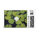 lily pad with single flower postage