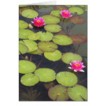 Lily Pads and Lotus Zen Birthday Card