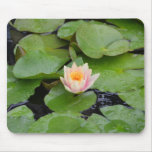Lily Pads and Pink Flower Mousepad