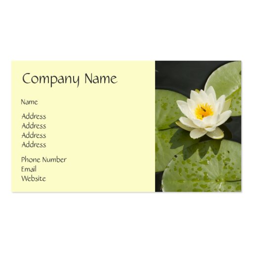 Lily Pads and White Lotus Flower Business Card (front side)