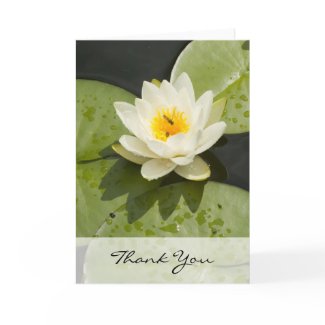 Lily Pads and White Lotus Flower Thank You Card