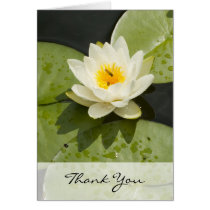 Lily Pads and White Lotus Flower Thank You Card